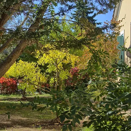 Дом отдыха Ostria *